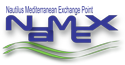NaMeX Logo